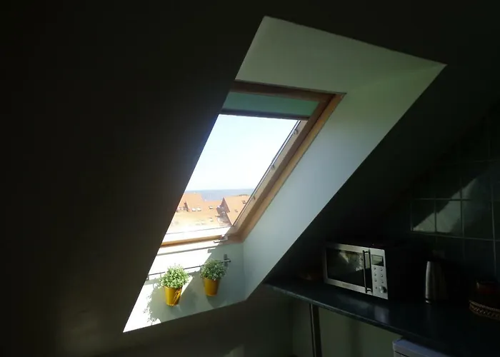 Apartamentai Taikos 24